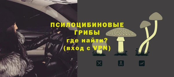 apvp Дмитров