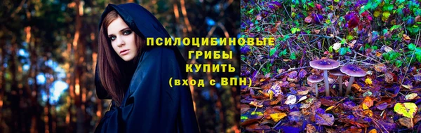 мескалин Дмитриев