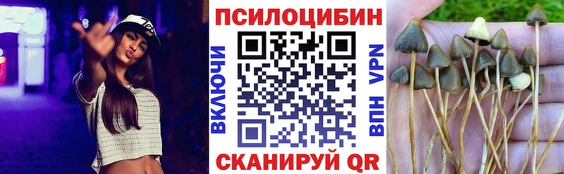 Галлюциногенные грибы прущие грибы Купить Заволжье